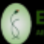 Essence Skin Clinic