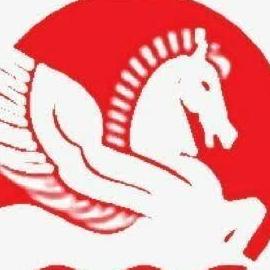 Singhal Industries